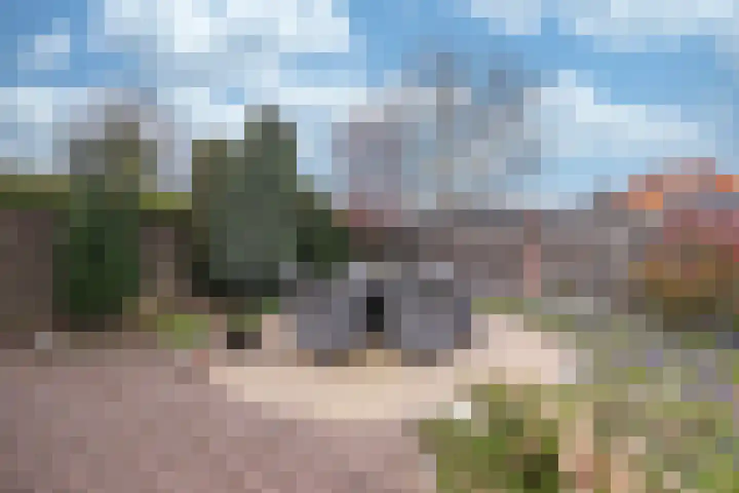 Schuttekleef 16 Stein thumbnail 21