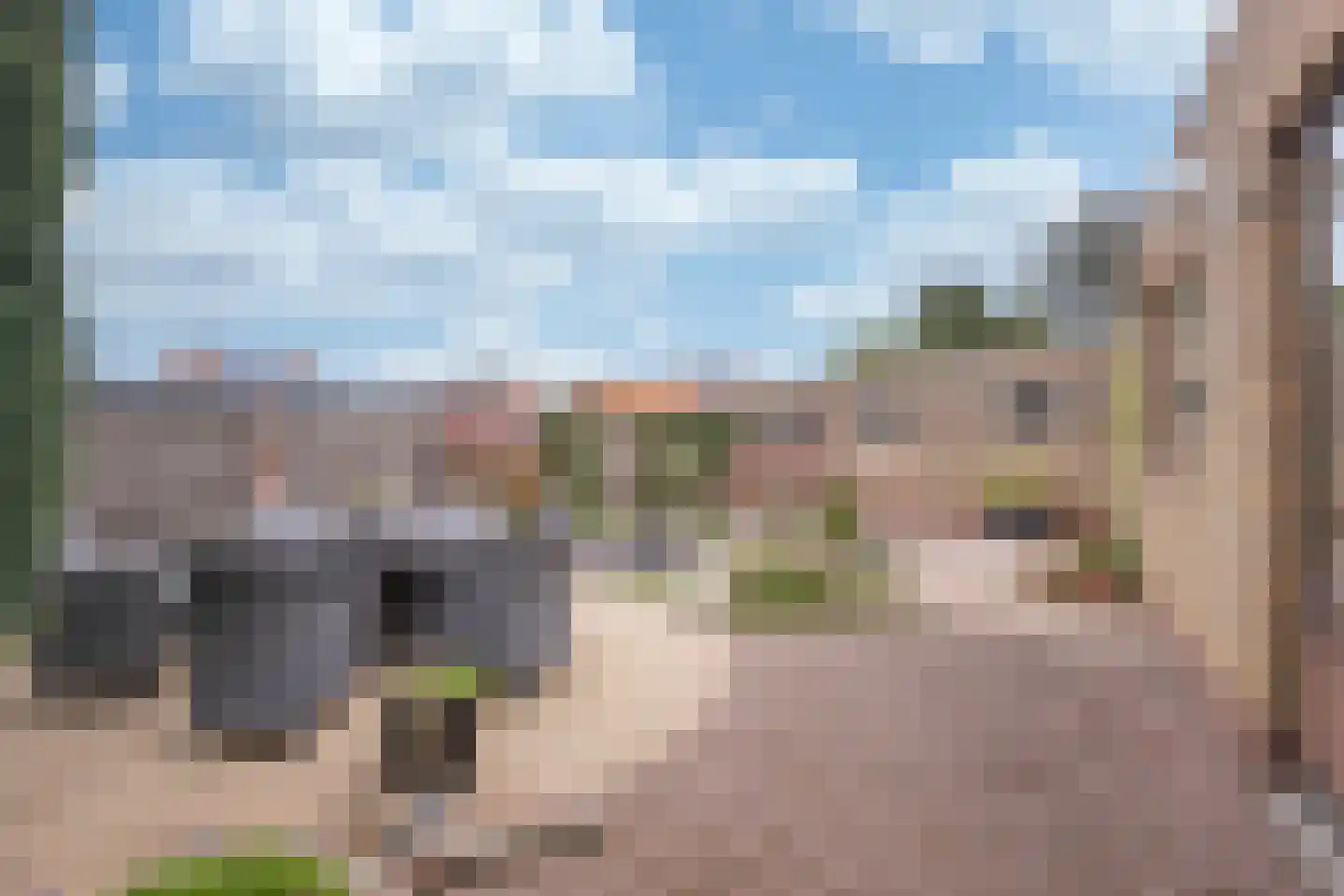Schuttekleef 16 Stein thumbnail 22