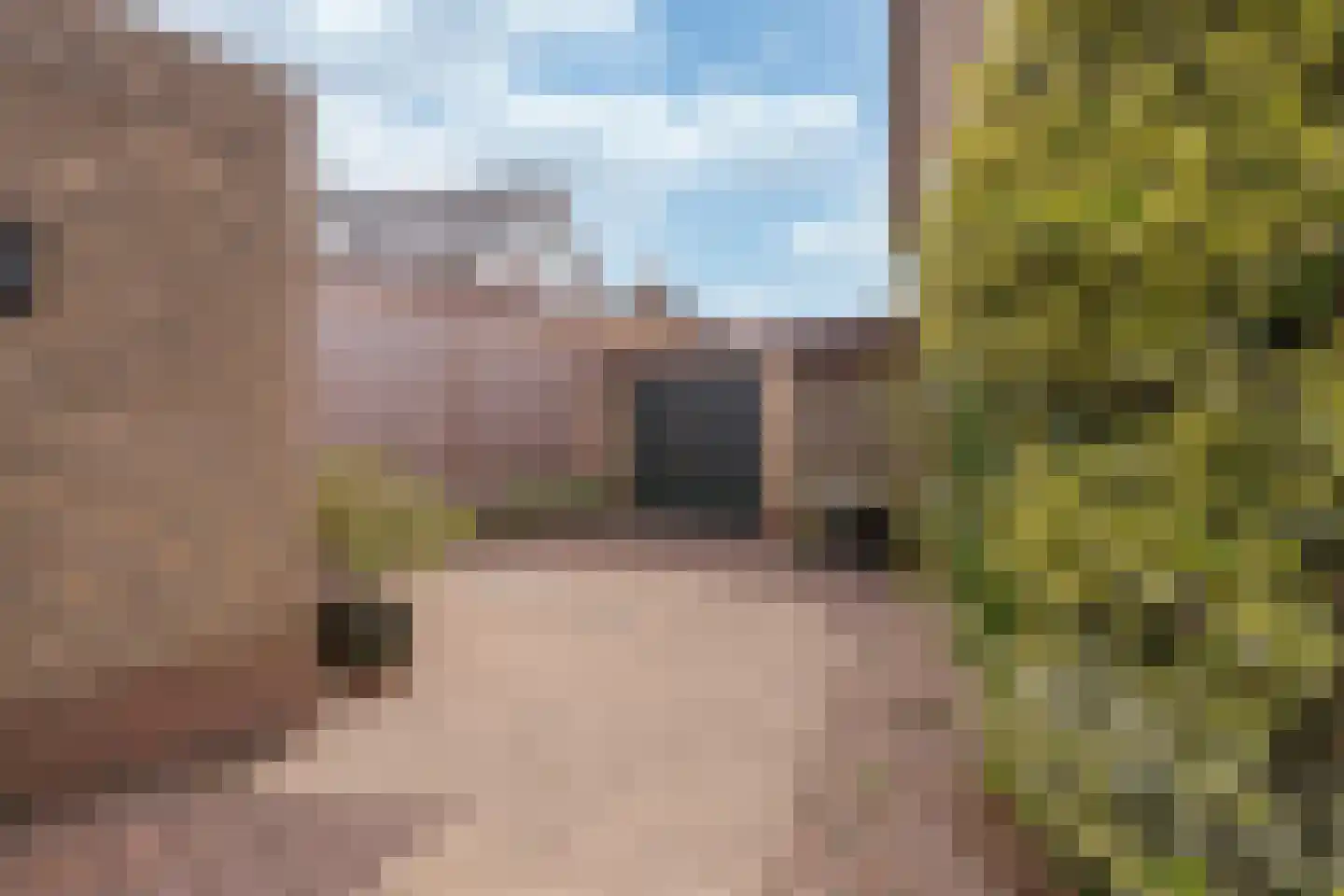 Schuttekleef 16 Stein thumbnail 26