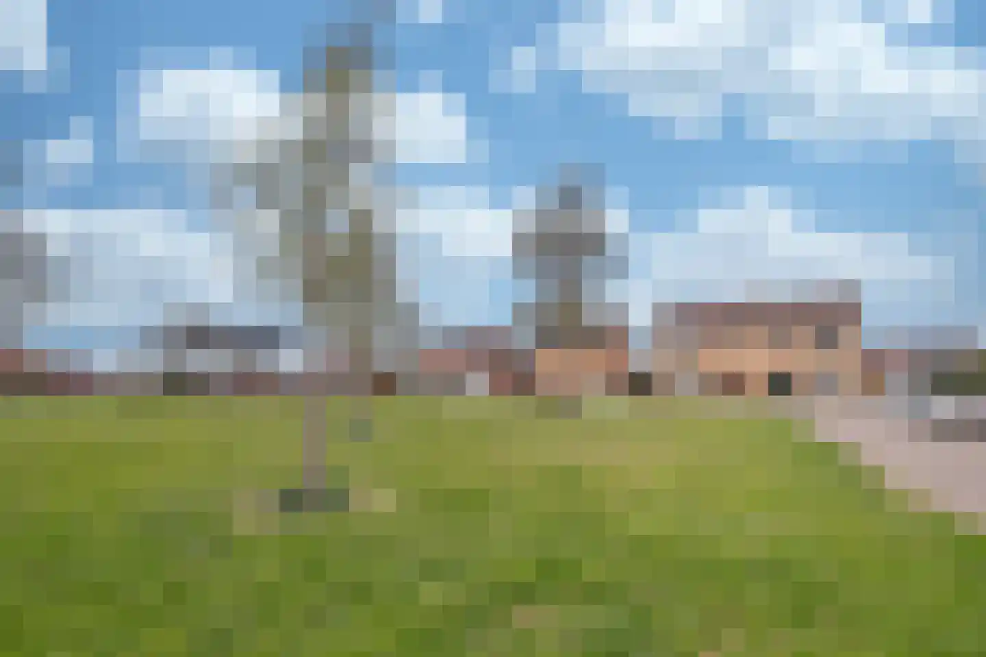 Schuttekleef 16 Stein thumbnail 28