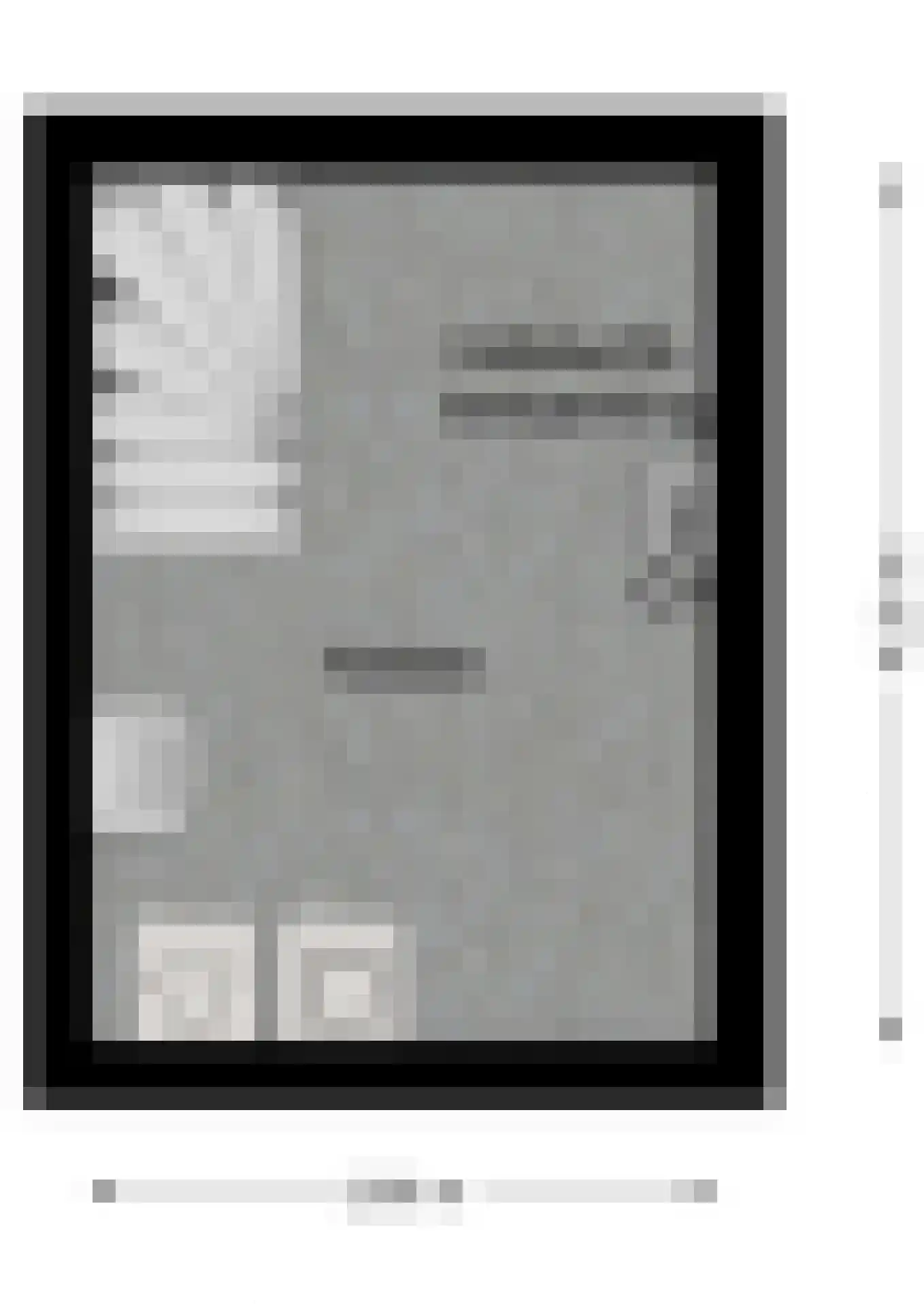 Schuttekleef 16 Stein thumbnail 33