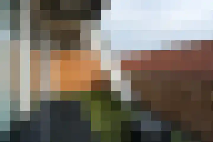 Schuttenstraat 21 Almelo thumbnail 26
