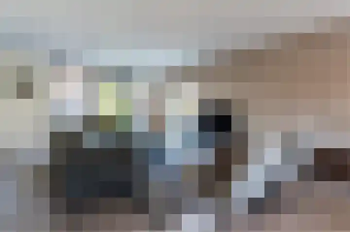 Schutter 14 Bleiswijk thumbnail 14