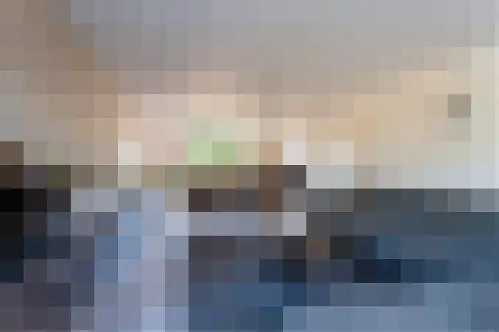 Schutter 14 Bleiswijk thumbnail 15