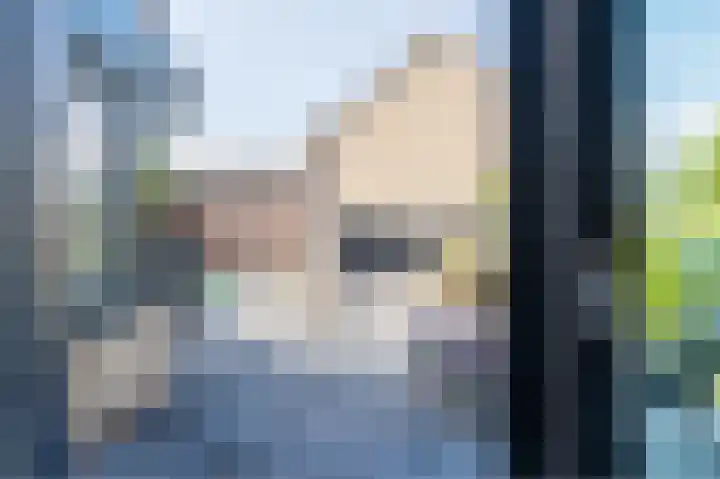 Schutter 14 Bleiswijk thumbnail 21