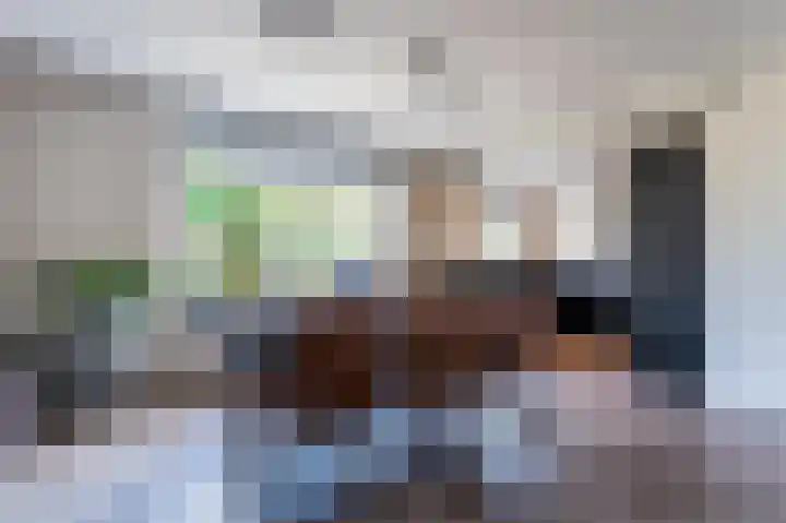 Schutter 14 Bleiswijk thumbnail 22