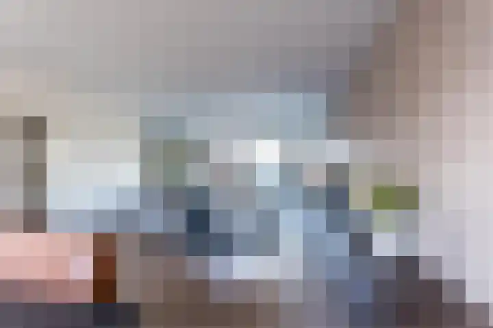 Schutter 14 Bleiswijk thumbnail 23