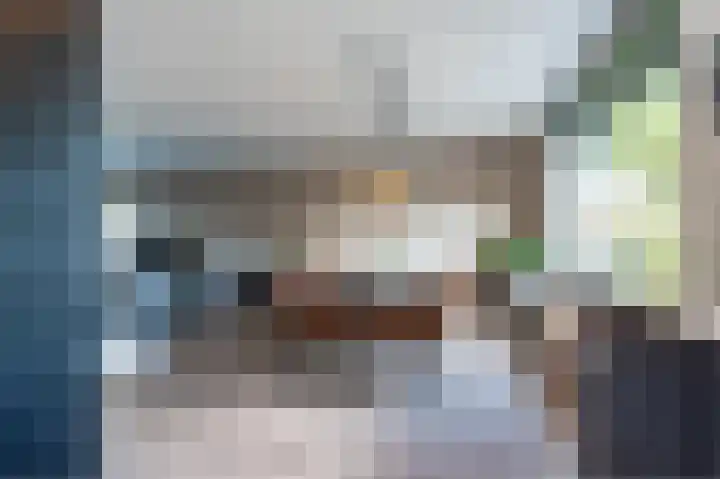 Schutter 14 Bleiswijk thumbnail 27