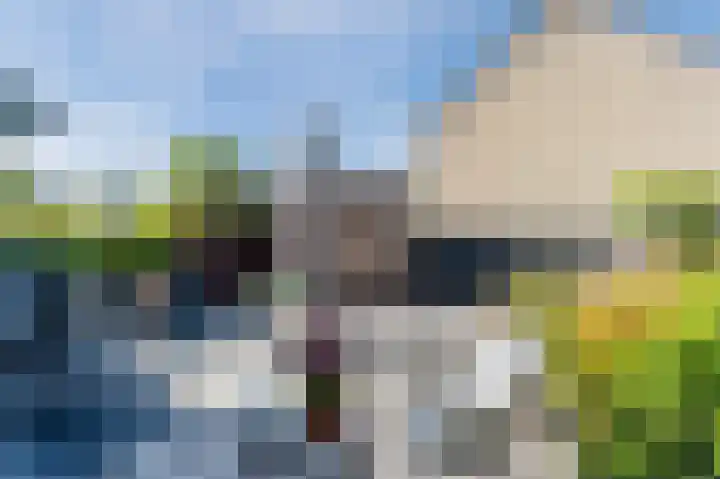 Schutter 14 Bleiswijk thumbnail 45
