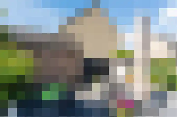Schutter 14 Bleiswijk thumbnail 47