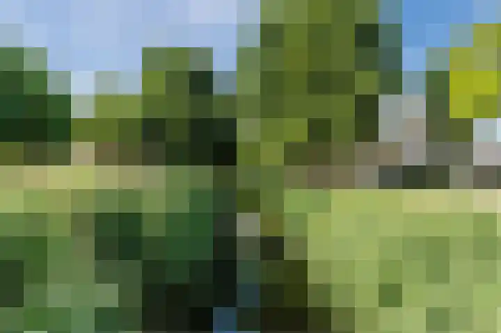 Schutter 14 Bleiswijk thumbnail 50