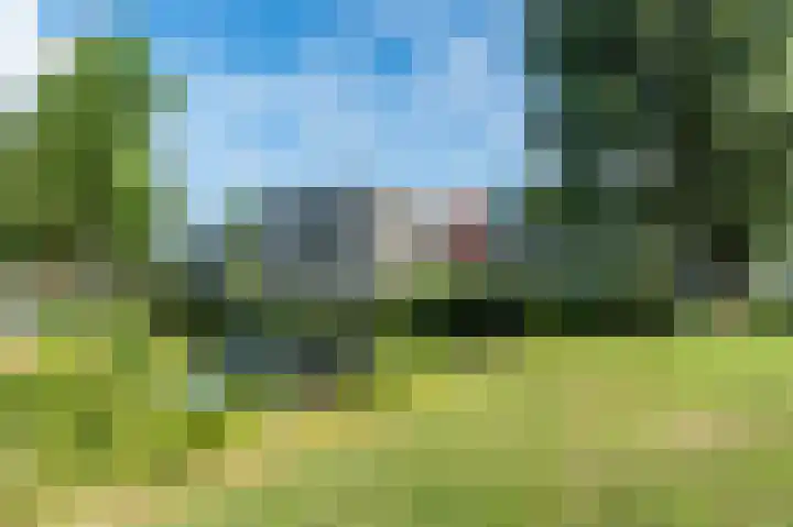 Schutter 14 Bleiswijk thumbnail 51