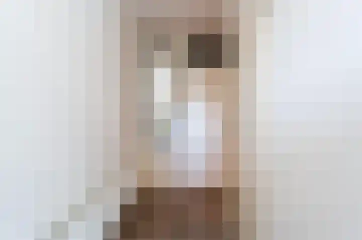 Schutter 14 Bleiswijk thumbnail 7