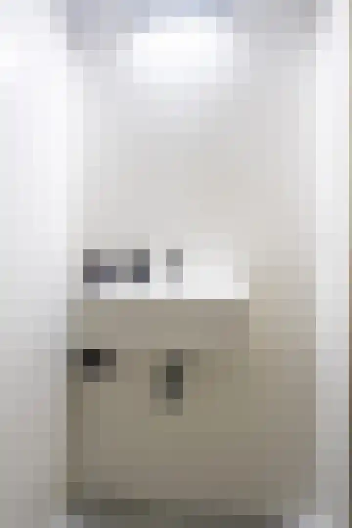 Schutter 14 Bleiswijk thumbnail 8
