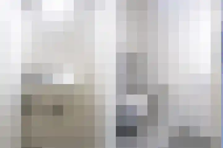 Schutter 14 Bleiswijk thumbnail 9