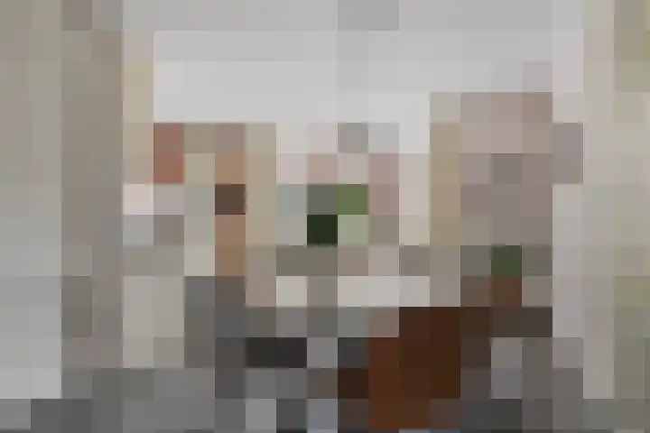 Schutter 23 Asten foto 3