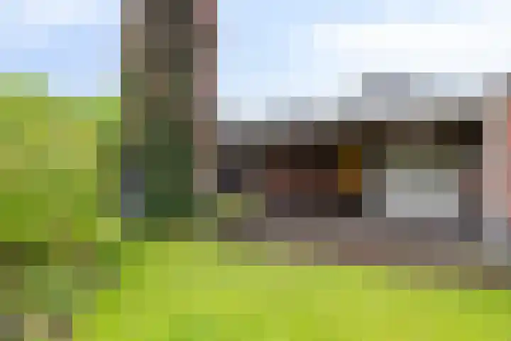 Schutter 23 Asten thumbnail 5