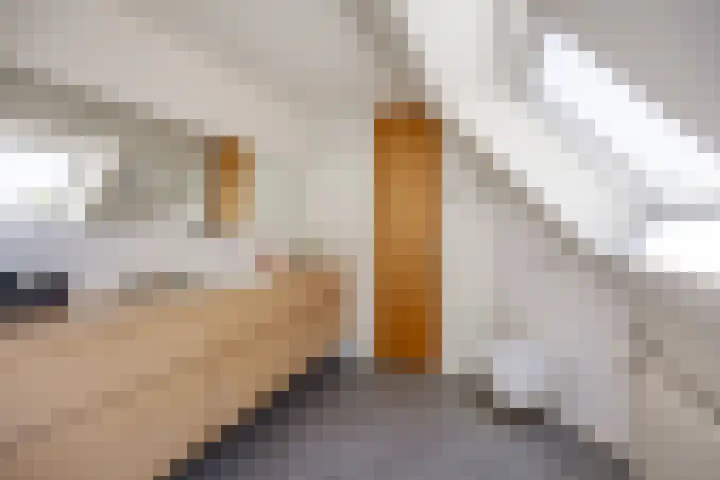 Schutterhoeflaan 47 Leusden thumbnail 53