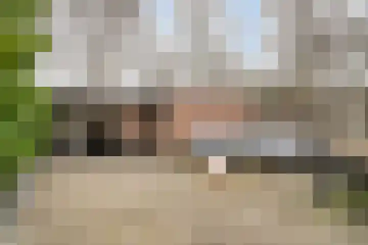 Schutterijakker 35 Nuenen thumbnail 28