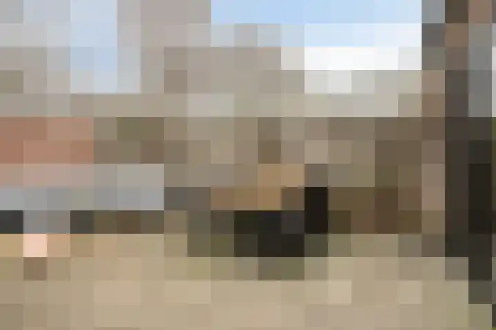 Schutterijakker 35 Nuenen thumbnail 29
