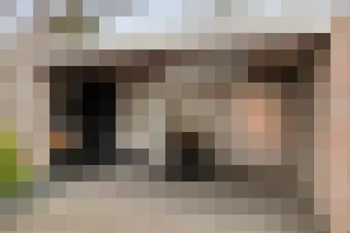 Schutterijakker 35 Nuenen thumbnail 30
