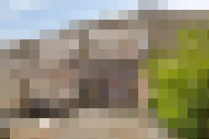 Schutterijakker 35 Nuenen thumbnail 31