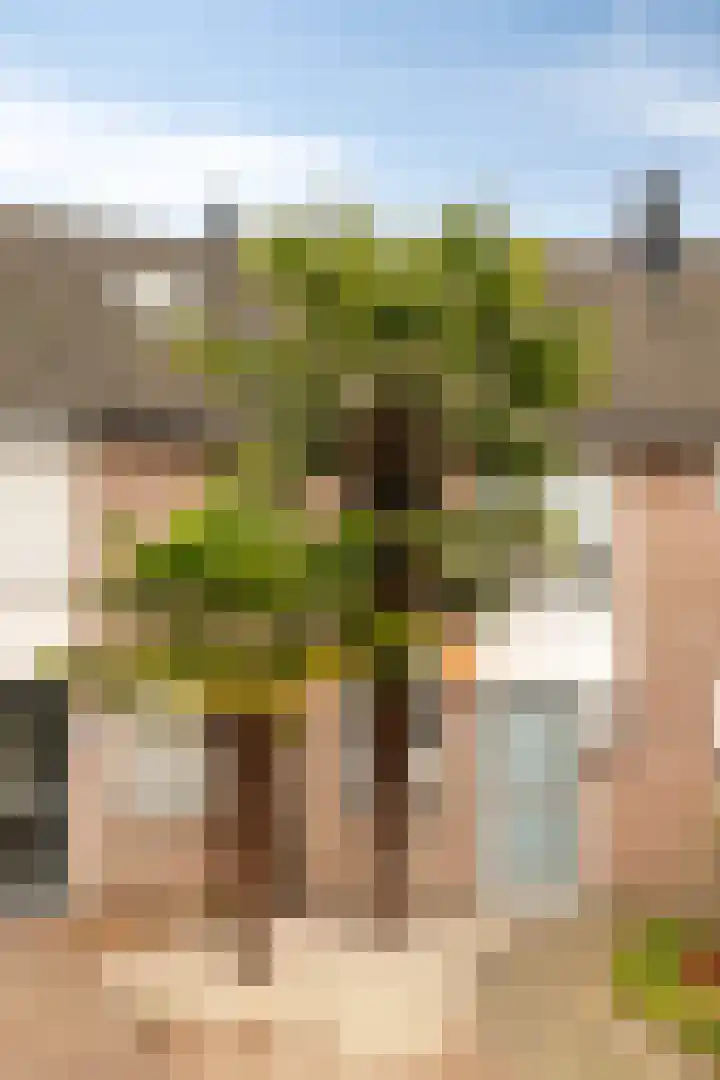 Schutterijakker 35 Nuenen thumbnail 34