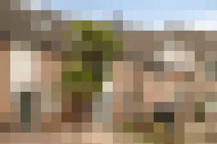 Schutterijakker 35 Nuenen thumbnail 5