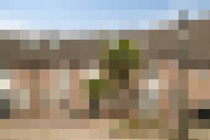 Schutterijakker 35 Nuenen thumbnail 6