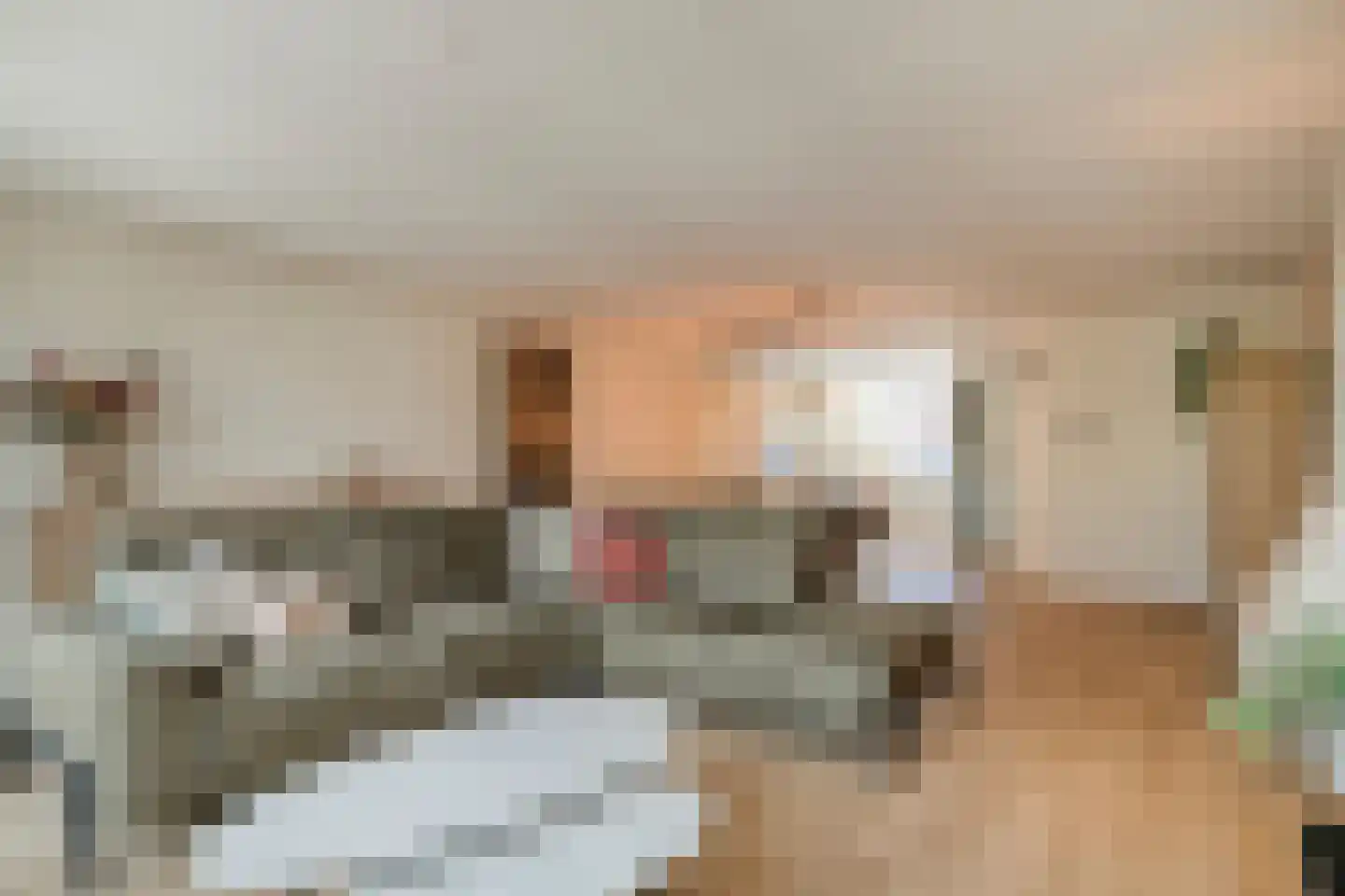 Schutterijakker 37 Nuenen thumbnail 13