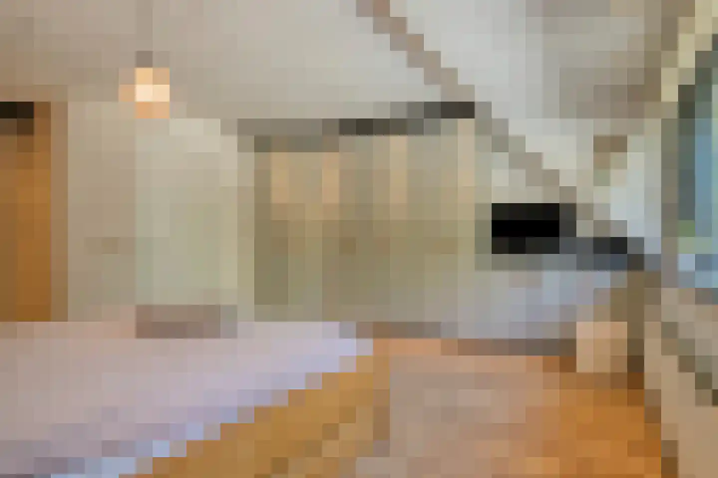 Schutterijakker 37 Nuenen thumbnail 23