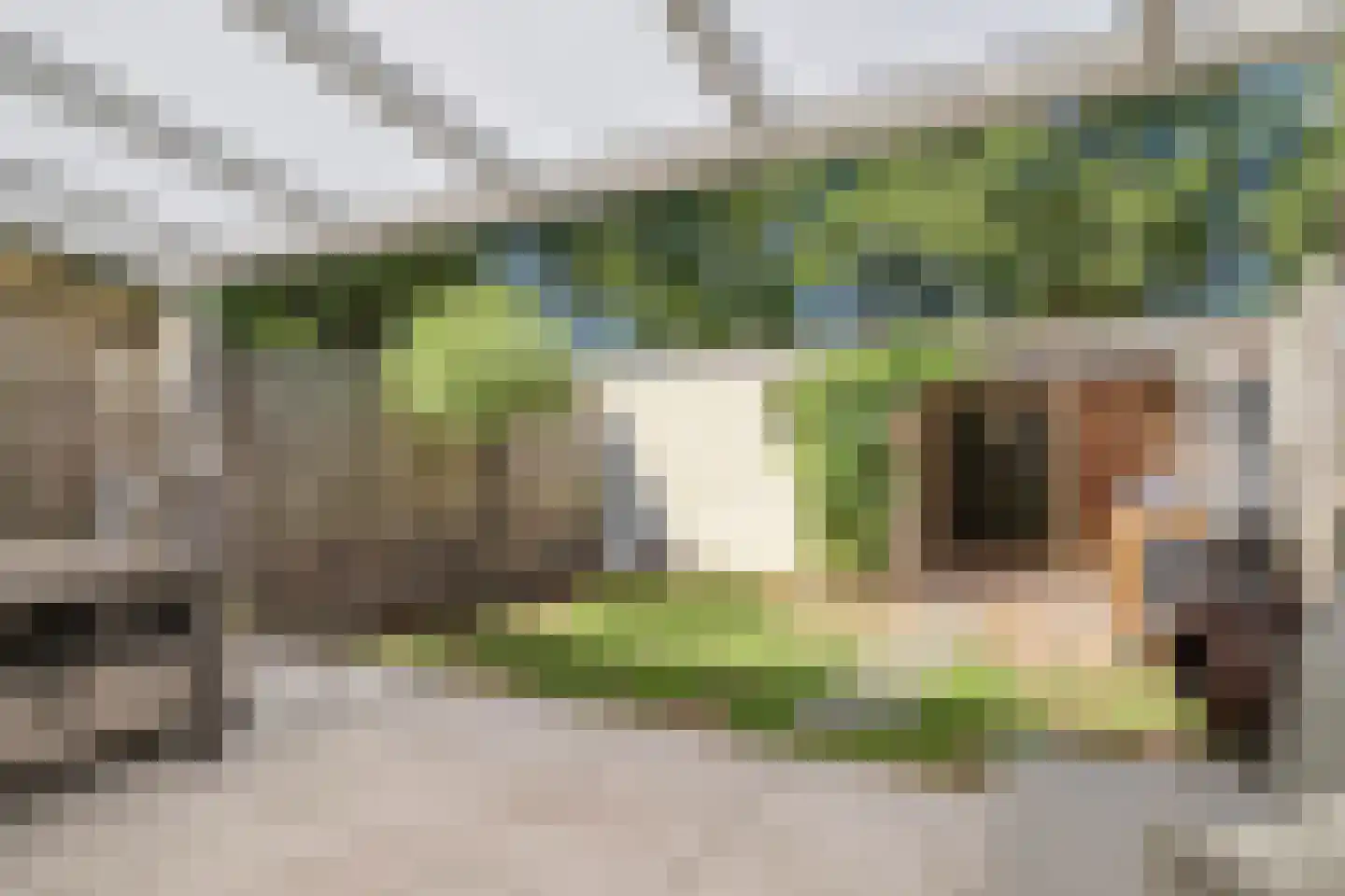 Schutterijakker 37 Nuenen thumbnail 32