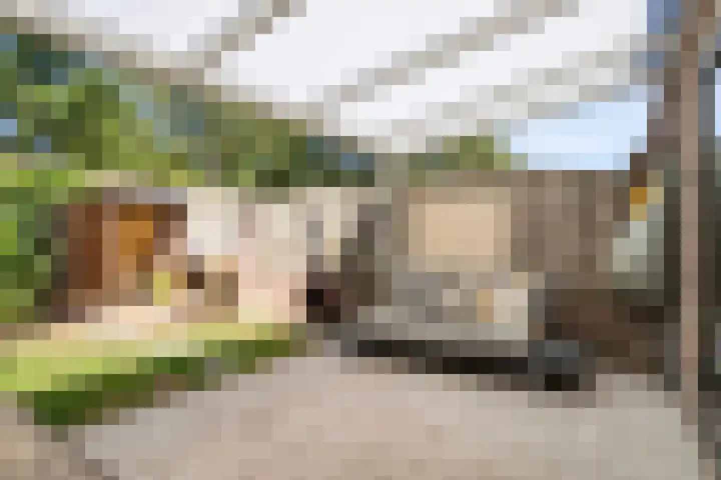 Schutterijakker 37 Nuenen thumbnail 33