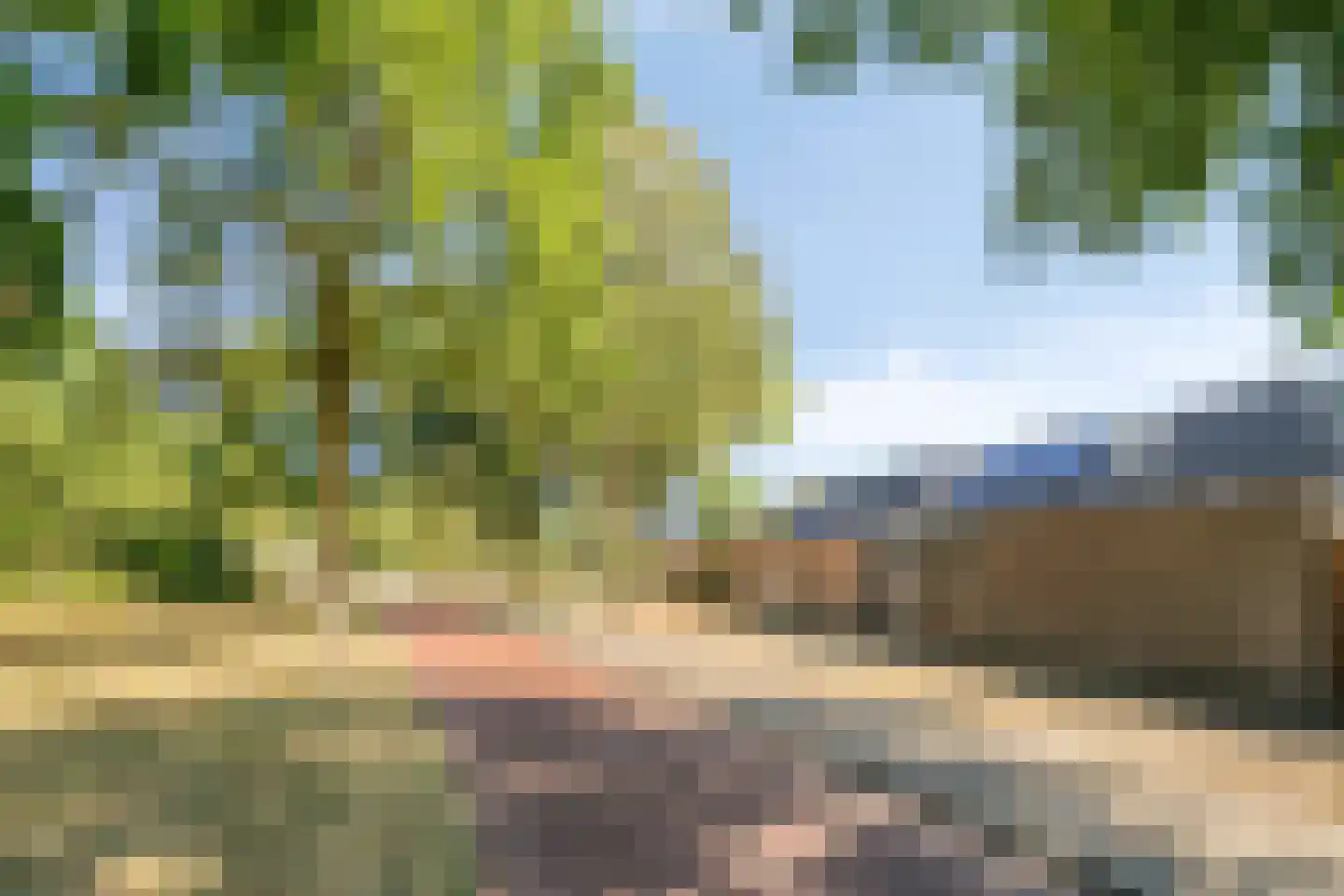 Schutterijakker 37 Nuenen thumbnail 39