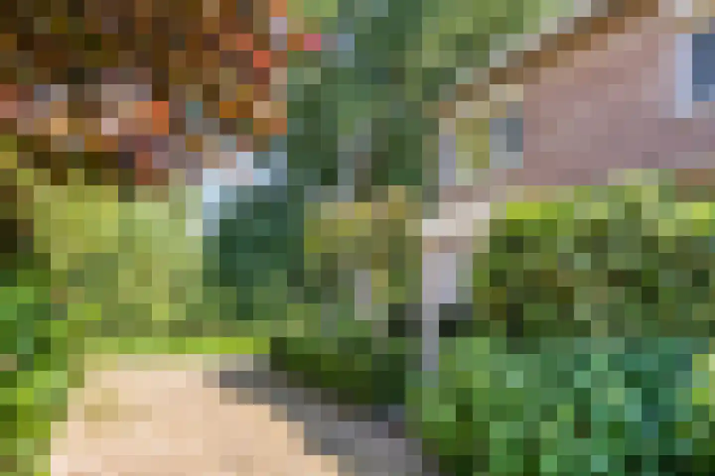 Schutterlaan 12 Eindhoven thumbnail 10