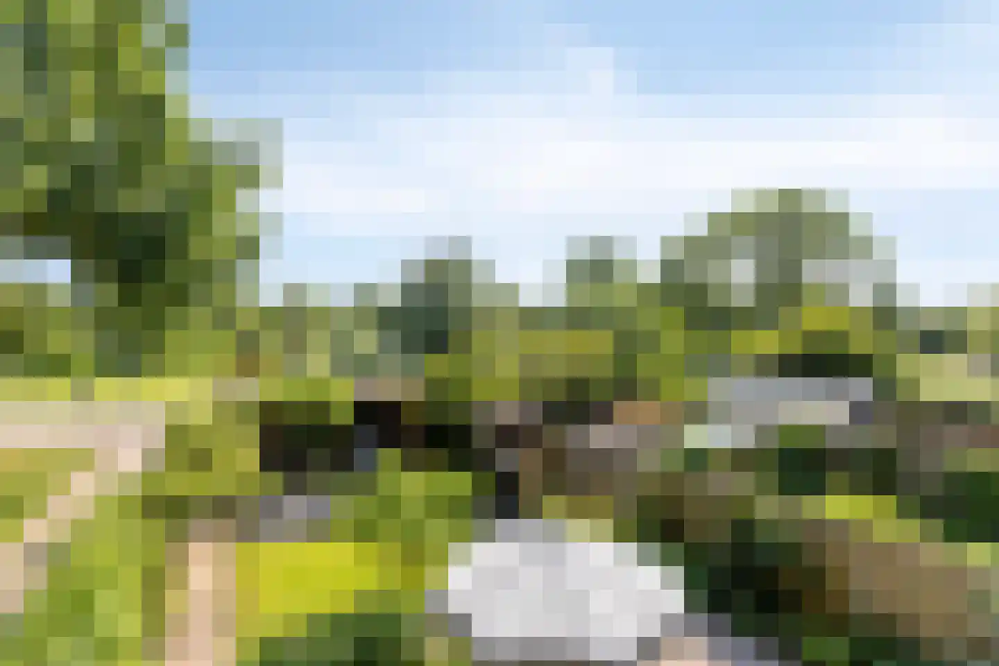 Schutterlaan 12 Eindhoven thumbnail 30