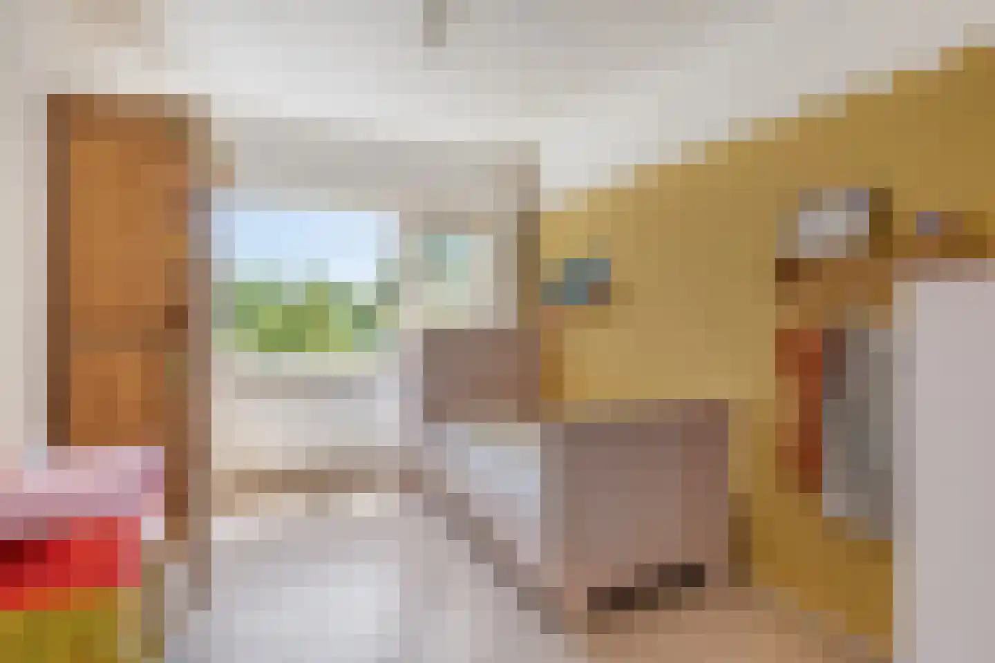 Schutterlaan 12 Eindhoven thumbnail 32