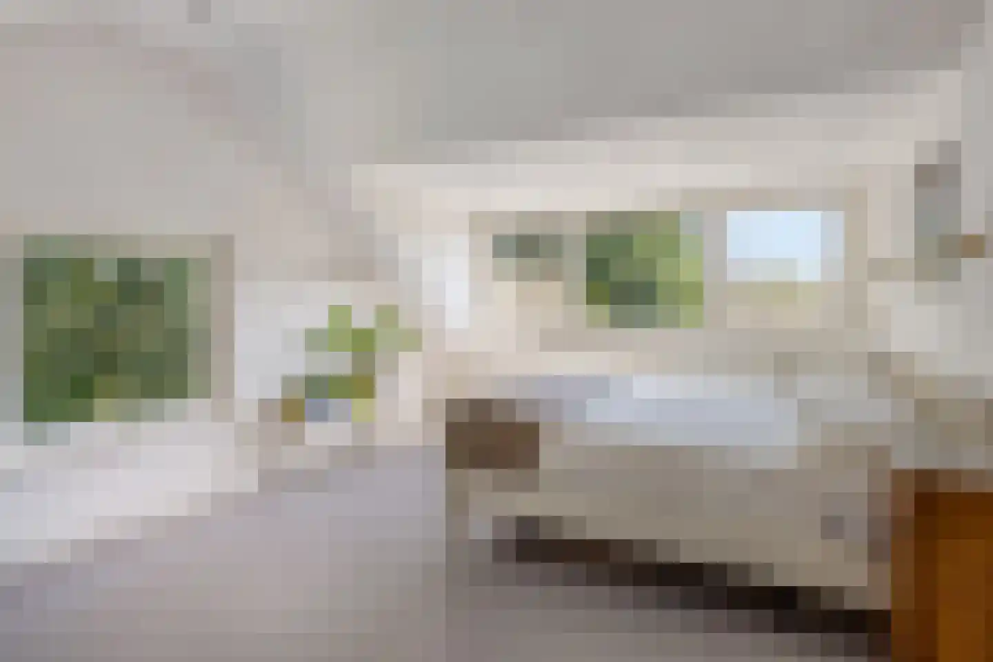 Schutterlaan 12 Eindhoven thumbnail 38
