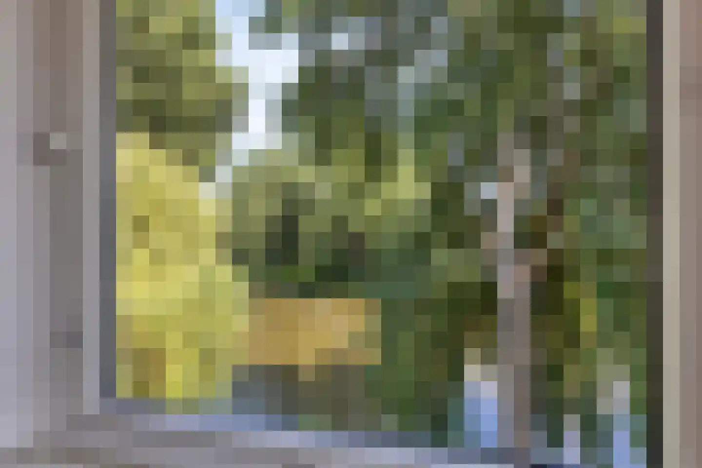 Schutterlaan 12 Eindhoven thumbnail 39