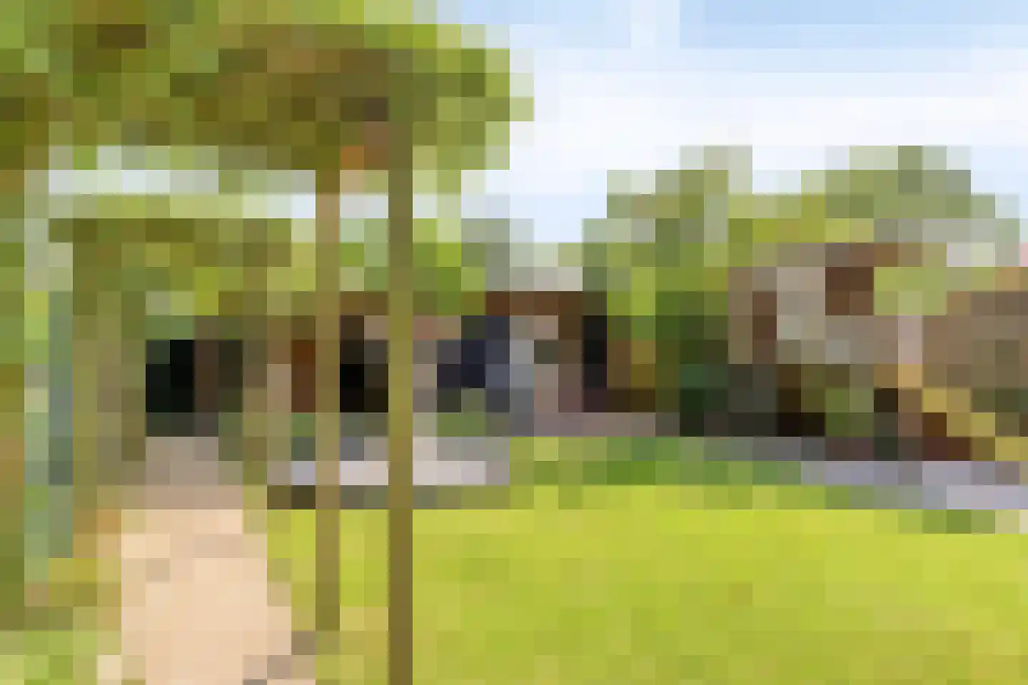 Schutterlaan 12 Eindhoven thumbnail 47