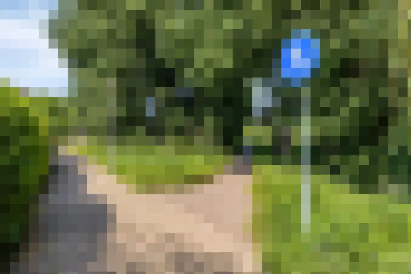 Schutterlaan 12 Eindhoven thumbnail 57