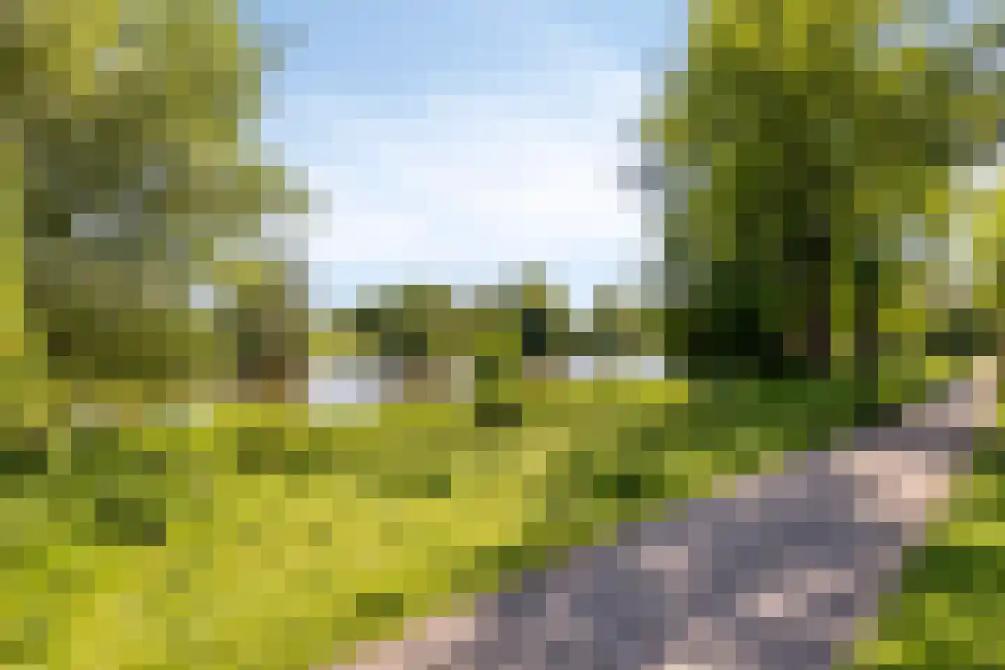 Schutterlaan 12 Eindhoven thumbnail 58