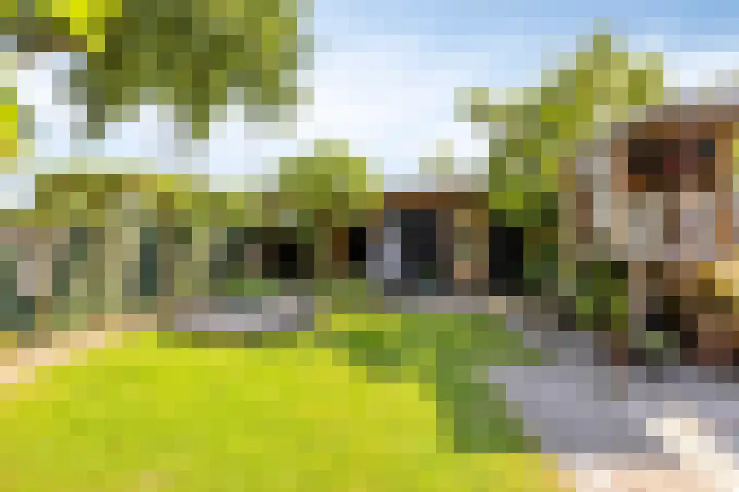 Schutterlaan 12 Eindhoven thumbnail 8