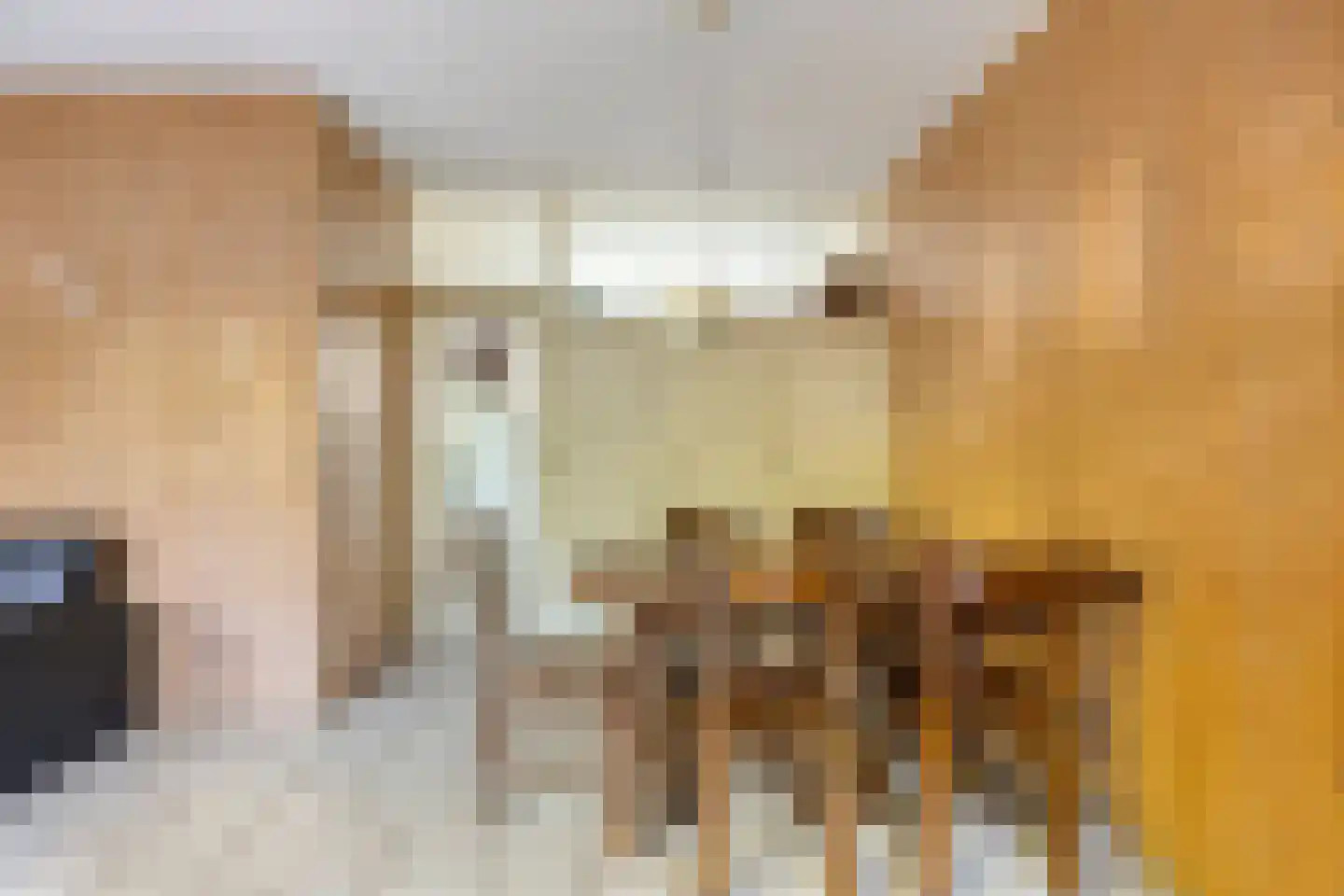 Schutterlaan 28 Eindhoven thumbnail 16