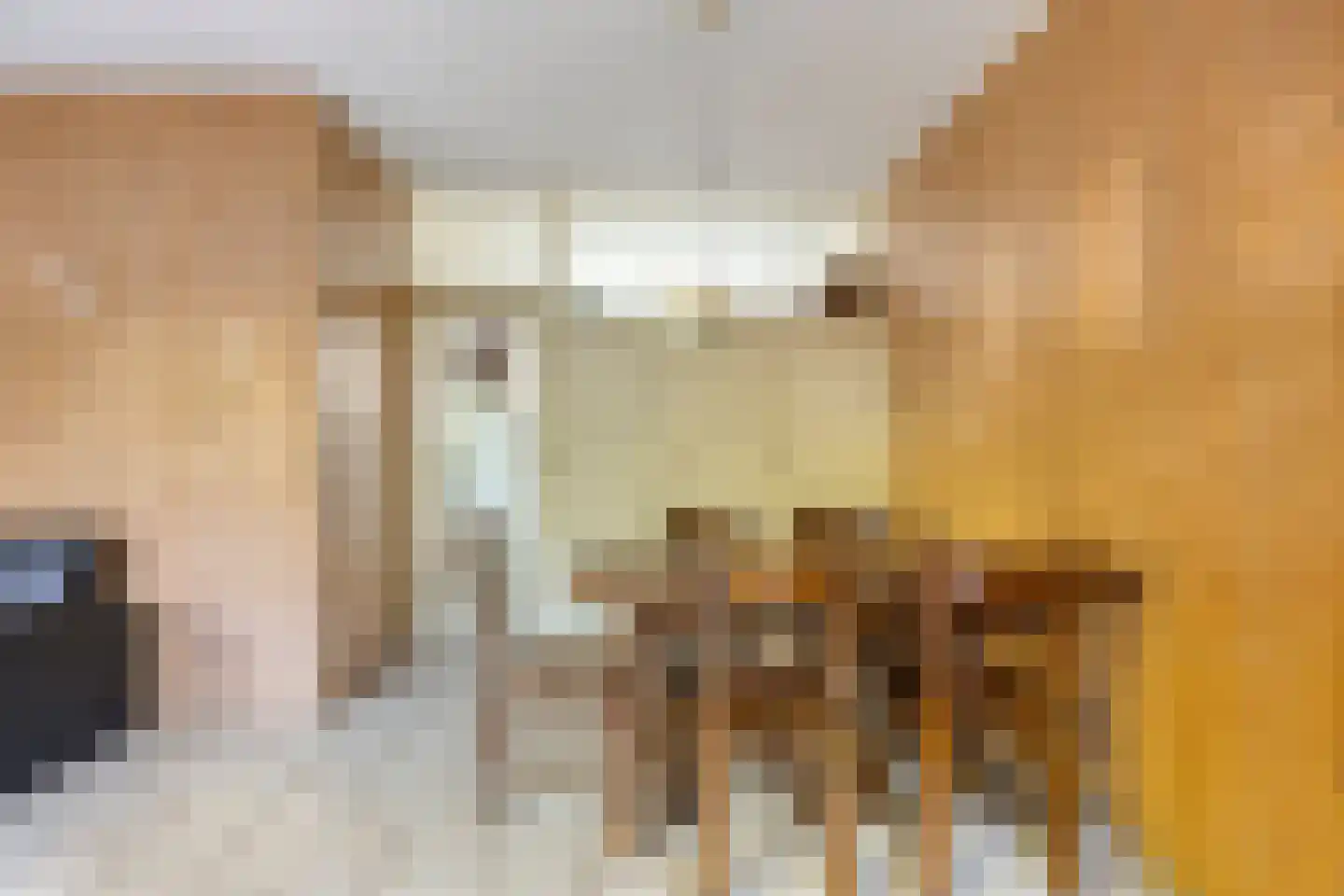 Schutterlaan 28 Eindhoven thumbnail 16