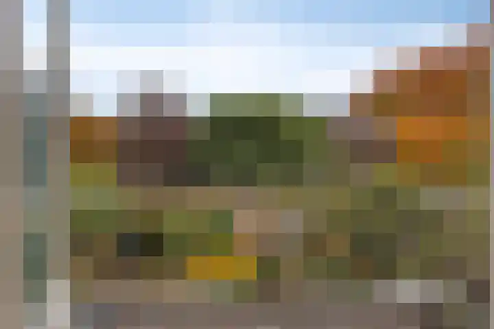 Schutterlaan 60 Eindhoven thumbnail 32