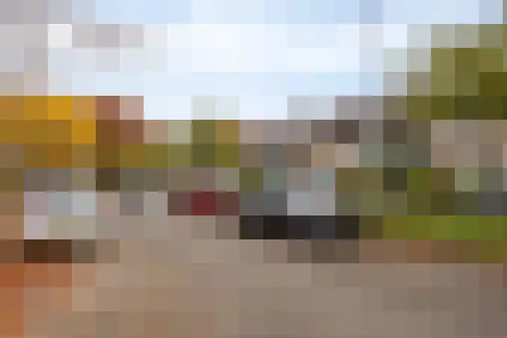 Schutterlaan 60 Eindhoven thumbnail 7