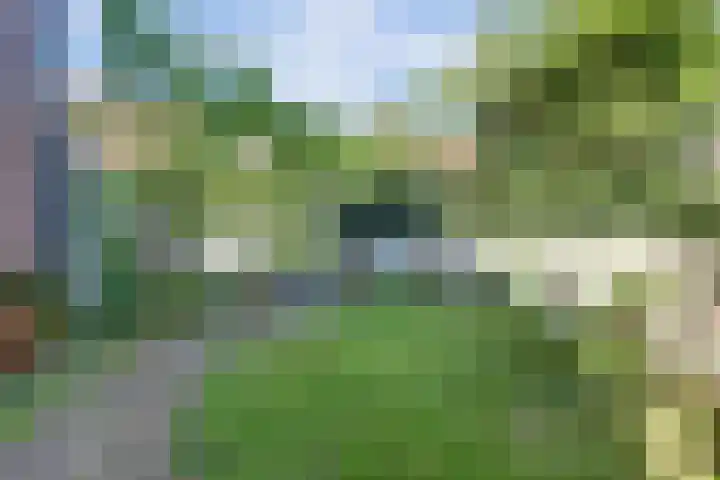 Schuttersbergplein 26 Arnhem thumbnail 41