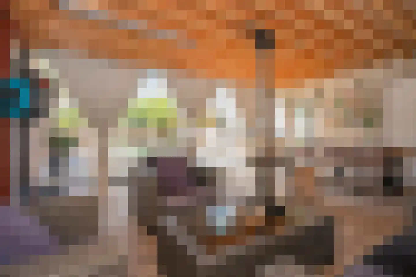 Schuttersdreef 1 Buchten thumbnail 25
