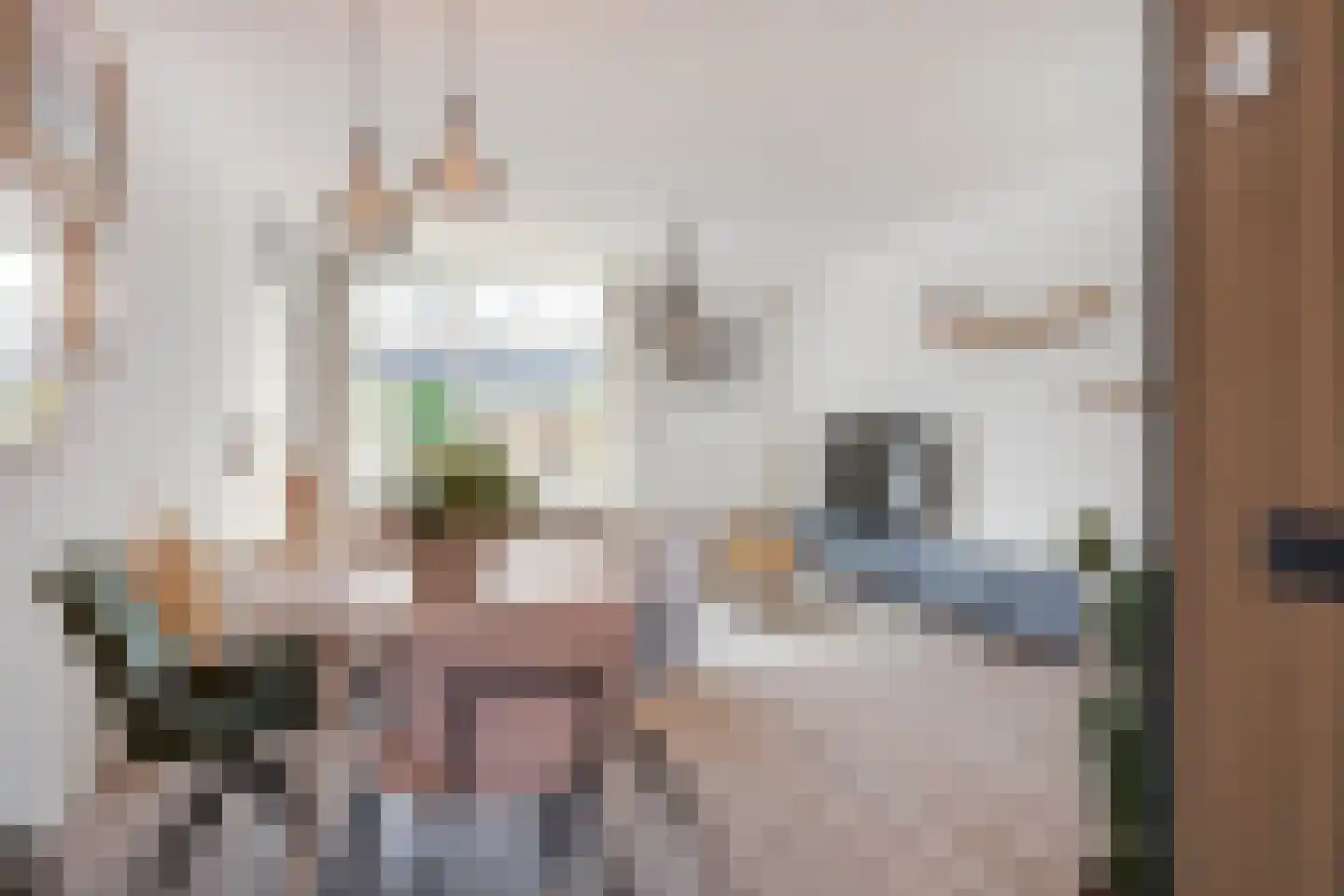 Schuttersdreef 100 Elsloo thumbnail 18